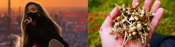 скорость mdpv Приозерск