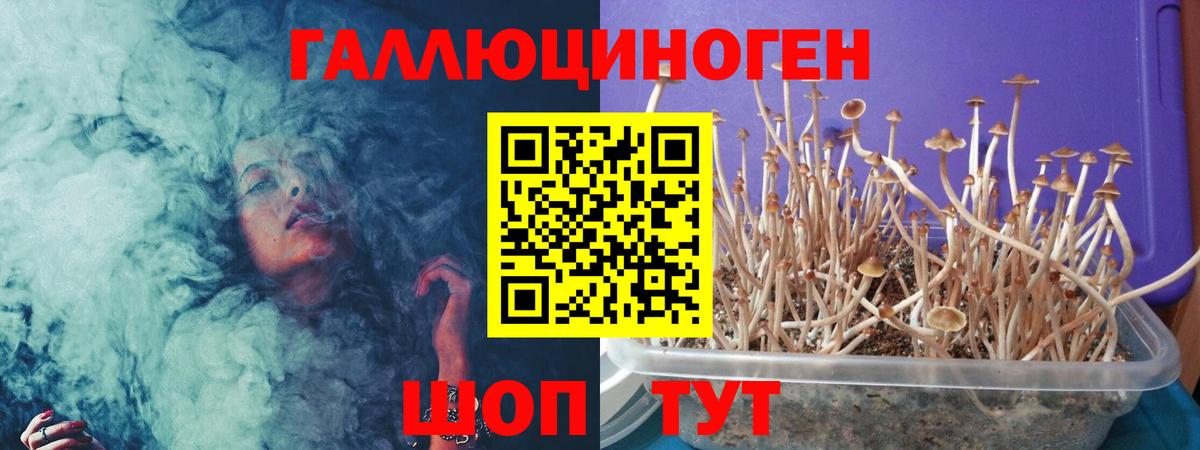 Псилоцибиновые грибы GOLDEN TEACHER Старая Русса