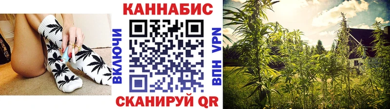 Бошки Шишки ГИДРОПОН Старая Русса