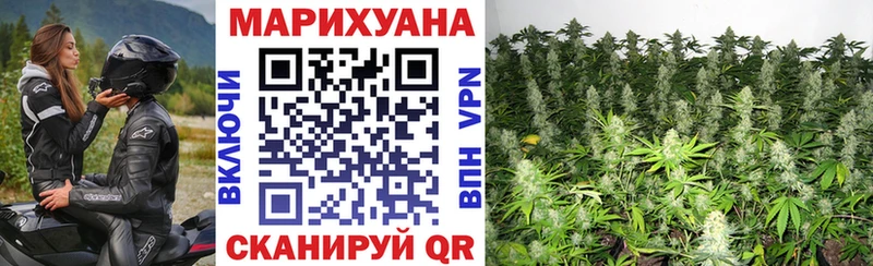 МЕГА как войти  Старая Русса  Бошки Шишки SATIVA & INDICA 